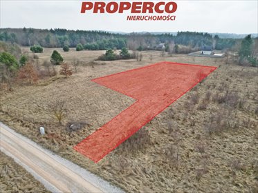 Działka inna na sprzedaż Rykoszyn, Urzędnicza 3 094m2 Foto 2