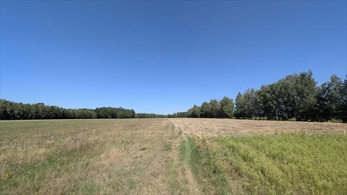Działka rolna z możliwością zabudowy - Grabostów działka Grabostów