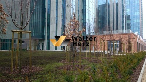 lokal użytkowy na wynajem 216m2 lokal użytkowy Warszawa, Wola, Karolkowa