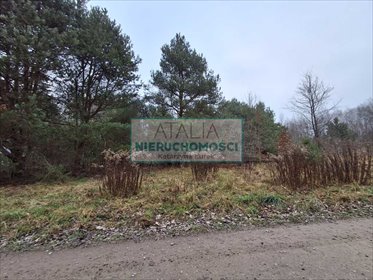 Działka 3700 m² pod dom w spokojnej okolicy Milanówka działka Milanówek