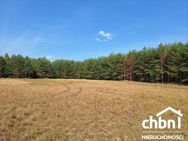 Na sprzedaż działka 3,38 ha z lasem i jeziorami w Kiełpinie działka Konarzyny, Kiełpin
