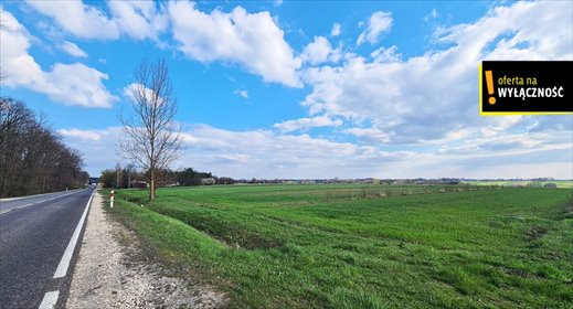 Sprzedam dużą działkę 1,08 ha z mediami w Łubnicach działka Łubnice