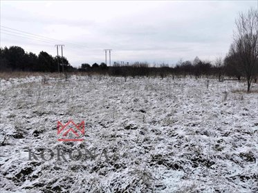 działka na sprzedaż 16390m2 działka Wasilków