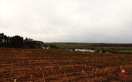 działka na sprzedaż 12000m2 działka Żegary