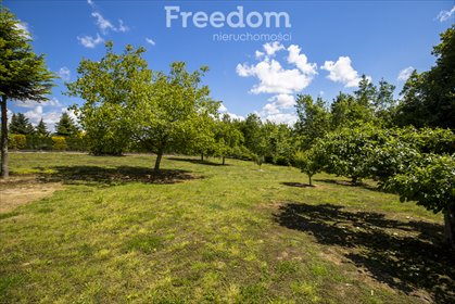 działka na sprzedaż 4229m2 działka Cierpisz