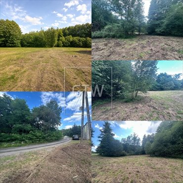 Działka 4422 m² z WZ na 3 domy w Lisówku - inwestycja działka Lisówek