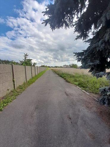 Działka inwestycyjna na sprzedaż Kalisz, Szczypiorno, Wrocławska 35 360m2 Foto 4