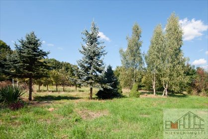 działka na sprzedaż 1101m2 działka Kotowice