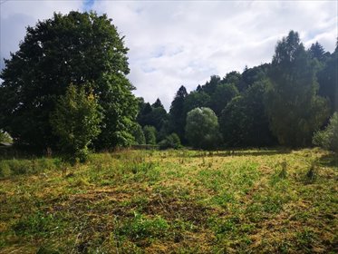 działka na sprzedaż 4600m2 działka Miłoszów