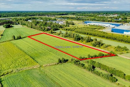 Działka inwestycyjna 10 250 m² w Duchnowie – możliwość rozbudowy działka Duchnów, Spacerowa