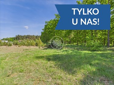 Działka 1585 m² pod dom w lesie – Kobylarnia, cisza i prywatność działka Kobylarnia