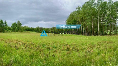 Działka w Kaszubach z warunkami zabudowy, jezioro 1300m działka Borzestowo, Stary Dwór