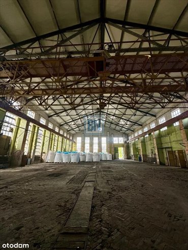 lokal użytkowy na wynajem 1520m2 lokal użytkowy Dąbrowa Górnicza