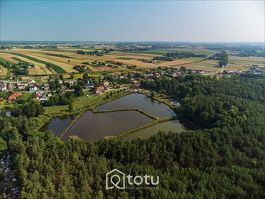 działka na sprzedaż 50420m2 działka Krężnica Jara