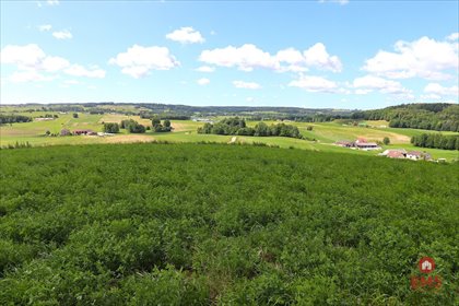 działka na sprzedaż 4800m2 działka Olszanka