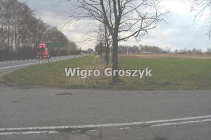Sprzedam działkę 19 000 m² pod zabudowę i usługi w Bieniewo-Parcela działka Bieniewo-Parcela