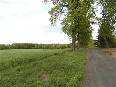 Działka rolna na sprzedaż Orle 111 800m2 Foto 1