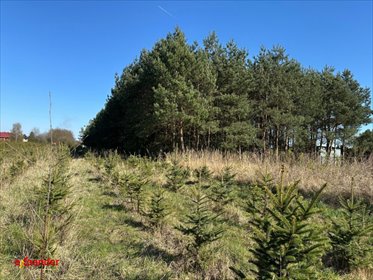 działka na sprzedaż 2576m2 działka Bartkowice, Poprzeczna