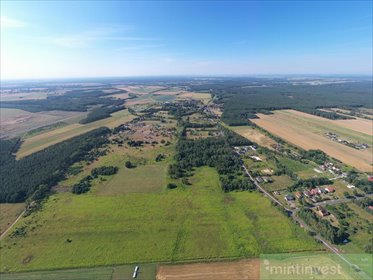 Działka 1250 m² w Żółwiej Błoci, las, media - polecam! działka Żółwia Błoć
