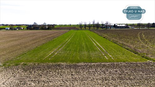 działka na sprzedaż 5800m2 działka Czarnocin, Juliusza Poniatowskiego