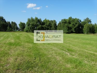 działka na sprzedaż 33500m2 działka Celinów