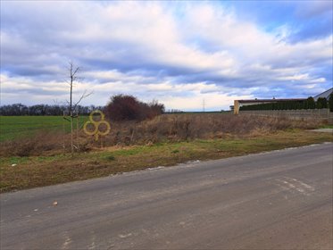 działka na sprzedaż 460m2 działka Kościan