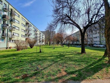 mieszkanie na sprzedaż 50m2 mieszkanie Warszawa, Targówek, Bródno