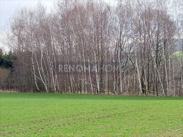 Działka budowlana na sprzedaż Witoszów Górny 1 518m2 Foto 4
