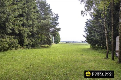 Działka nad Netta z linią brzegową - polecam działka Lipowo, Sosnowo