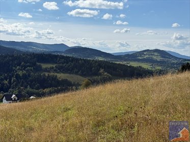 Działka pod zabudowę z warunkami, prywatność i widok - polecam! działka Kanina