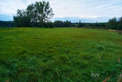 Działka budowlana na sprzedaż Łaziska Górne, Brada, Kolejowa 3 934m2 Foto 2