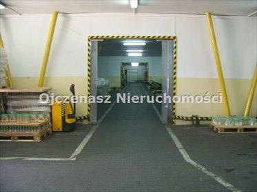 Magazyn na sprzedaż Inowrocław 4 614m2 Foto 4