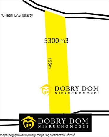 Działka leśna 5300 m² w Lipnikach (las iglasty, dojazd asfalt) działka Lipniki