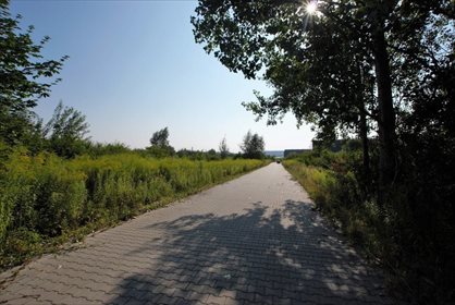 działka na sprzedaż 19337m2 działka Chęciny