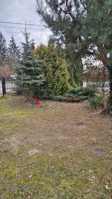 dom na sprzedaż 74m2 dom Czachówek
