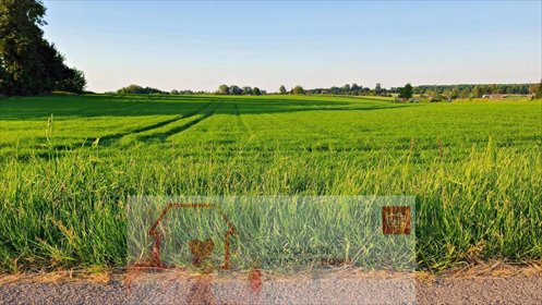 działka na sprzedaż 3000m2 działka Miłocin