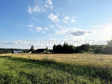 Działka rolna na sprzedaż Pawełki 8 300m2 Foto 2