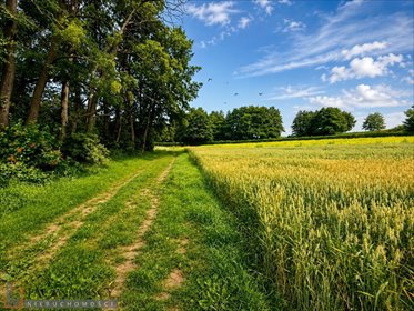 Działka budowlana 815 m² w Bosutowie - zapraszam działka Bosutów