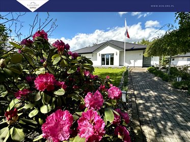 dom na sprzedaż 220m2 dom Częstocin