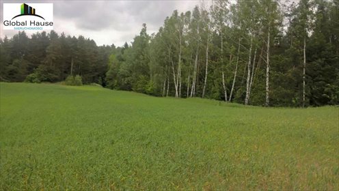 Działka rolna na sprzedaż Nowe Krzywe 3 080m2 Foto 1