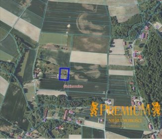 działka na sprzedaż 3447m2 działka Siekierowice, Siekierowice