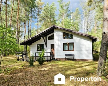 Nowy dom po remoncie z kominkiem i tarasem w Nowych Załubicach dom Nowe Załubice, Pomarańczowa