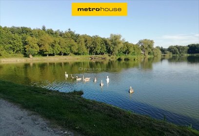 działka na sprzedaż 40620m2 działka Klementowice