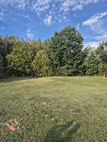 Zapraszam do zakupu działki 980 m² w Sośnicowicach działka Sośnicowice