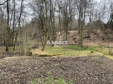 działka na sprzedaż 2193m2 działka Wodzisław Śląski