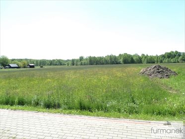 Działka budowlana na sprzedaż Luchów Górny 7 600m2 Foto 4