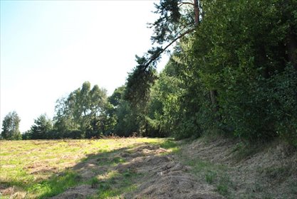 Działka pod lasem w Kętach, 3539 m², media, dojazd działka Kęty, Podlesie