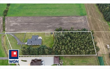 Sprzedam dom z własnym lasem i dużą działką 7300 m² dom Zosinki, Zosinki