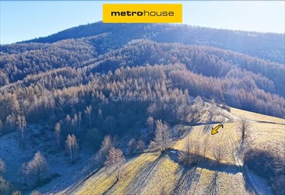 działka na sprzedaż 2929m2 działka Rzyki