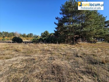 Działka 1000 m² z mediami w Sukowie (cicha, malownicza okolica) działka Suków